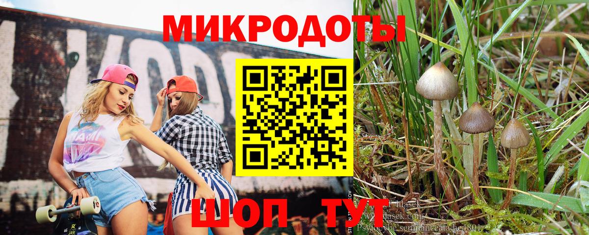 Галлюциногенные грибы мухоморы  Вход с VPN  Кимры 
